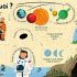 Usborne Lift the Flap Question Answers about Space