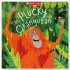 The Plucky Orangutan - story book