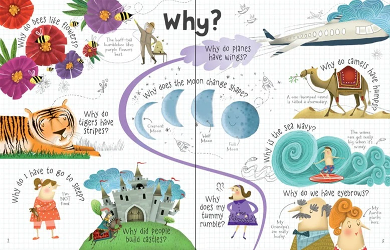 Usborne Lift the Flap question answers about science 4