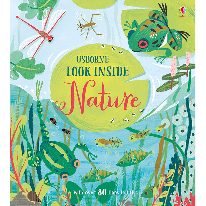 Usborne Look Inside Nature – with flaps