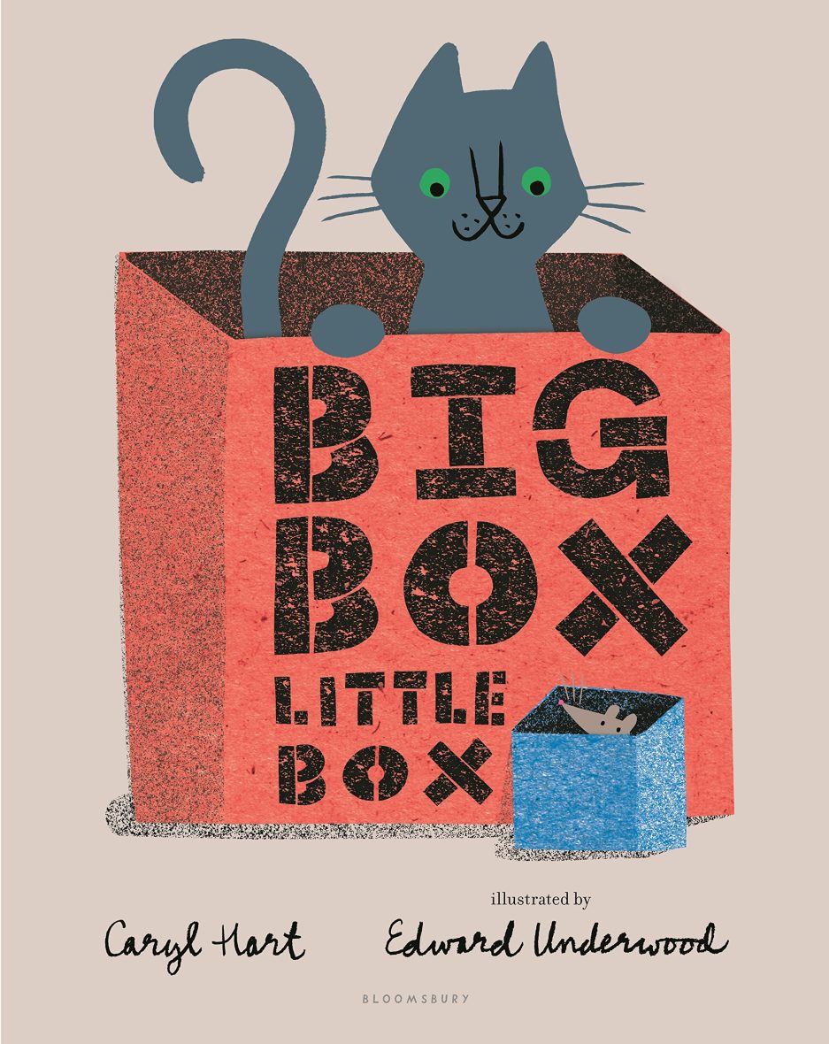 Big Box Little Box (Picture Book)