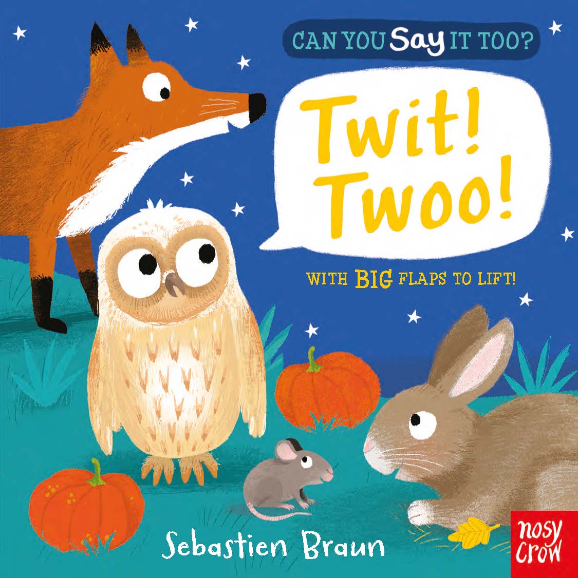 Can You Say It, Too? Twit! Twoo! (Board Book) – Lift the flap