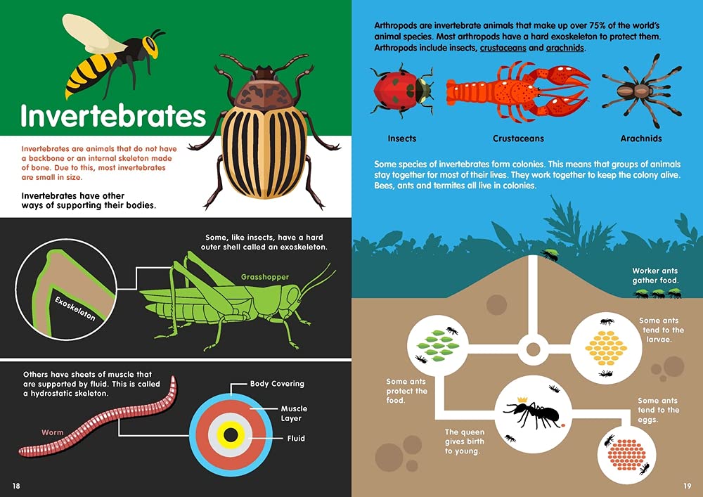 animals-infographics-2