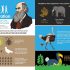 animals infographics 4