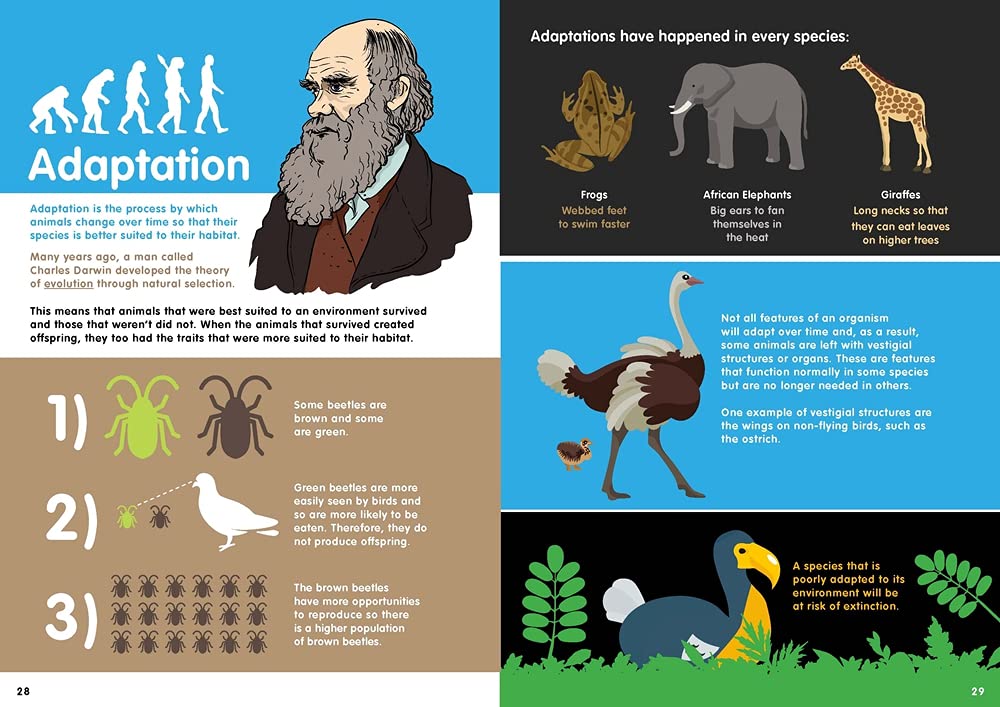 animals-infographics-4