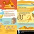habitats infographics 3